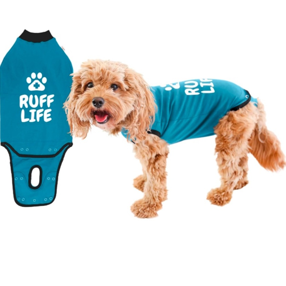 🐾 Dog Recovery Surgery Suit BellyGuard Recovery Suit for Dogs Female and Male L